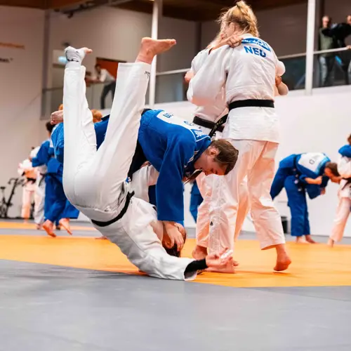 Judo op Papendal