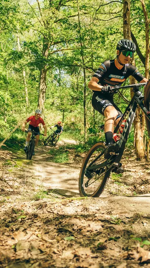 Mountainbiken bos